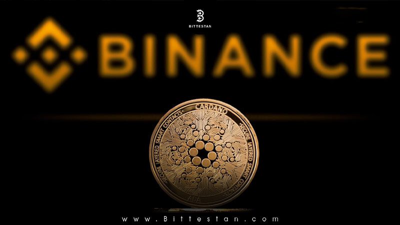پشتیبانی بایننس از استیکینگ کاردانو