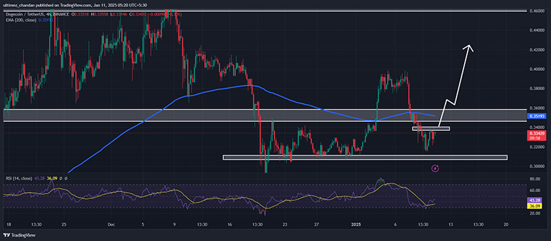 نمودار روند قیمت دوج کوین در بازه های مختلف